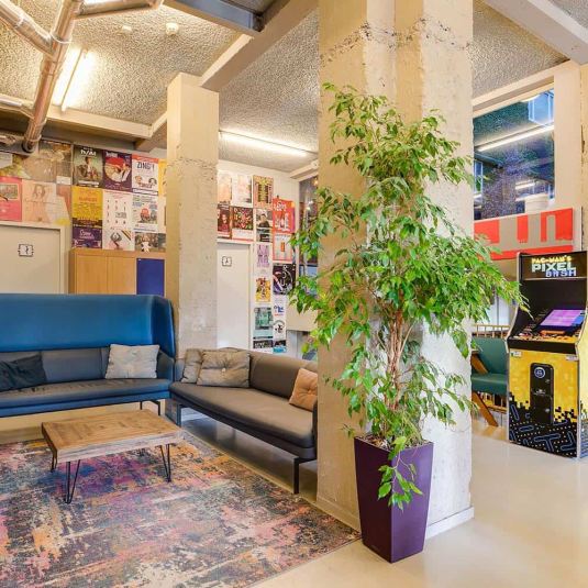 A tall plant, couches and an arcade game in a social space at ClinkNOORD Hostel in Amsterdam.