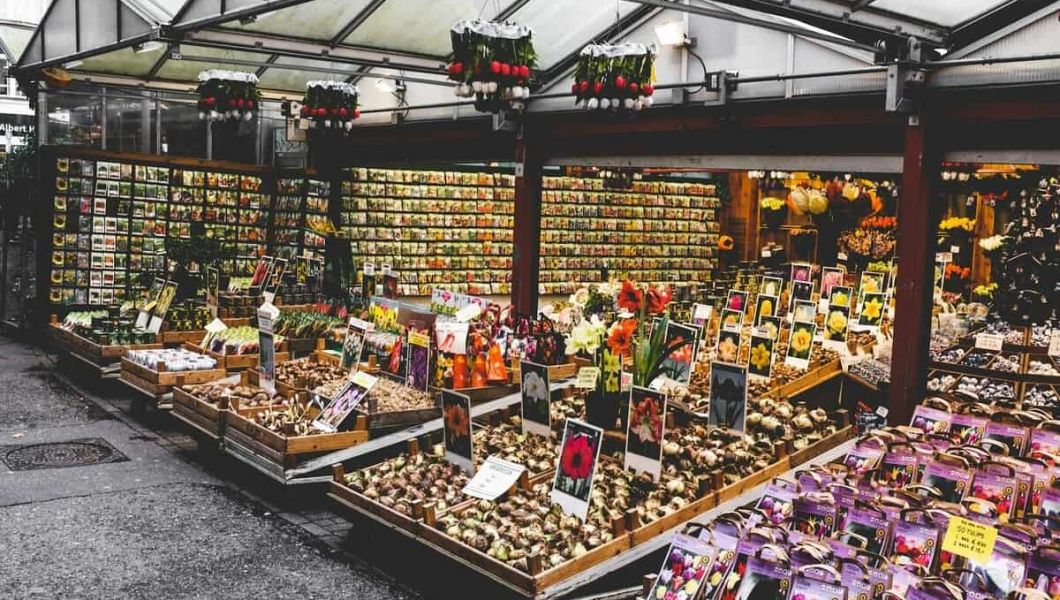 Market with flowers in Amsterdam