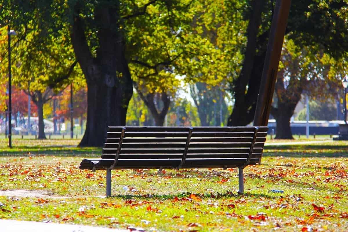 A bench in a park in autumn