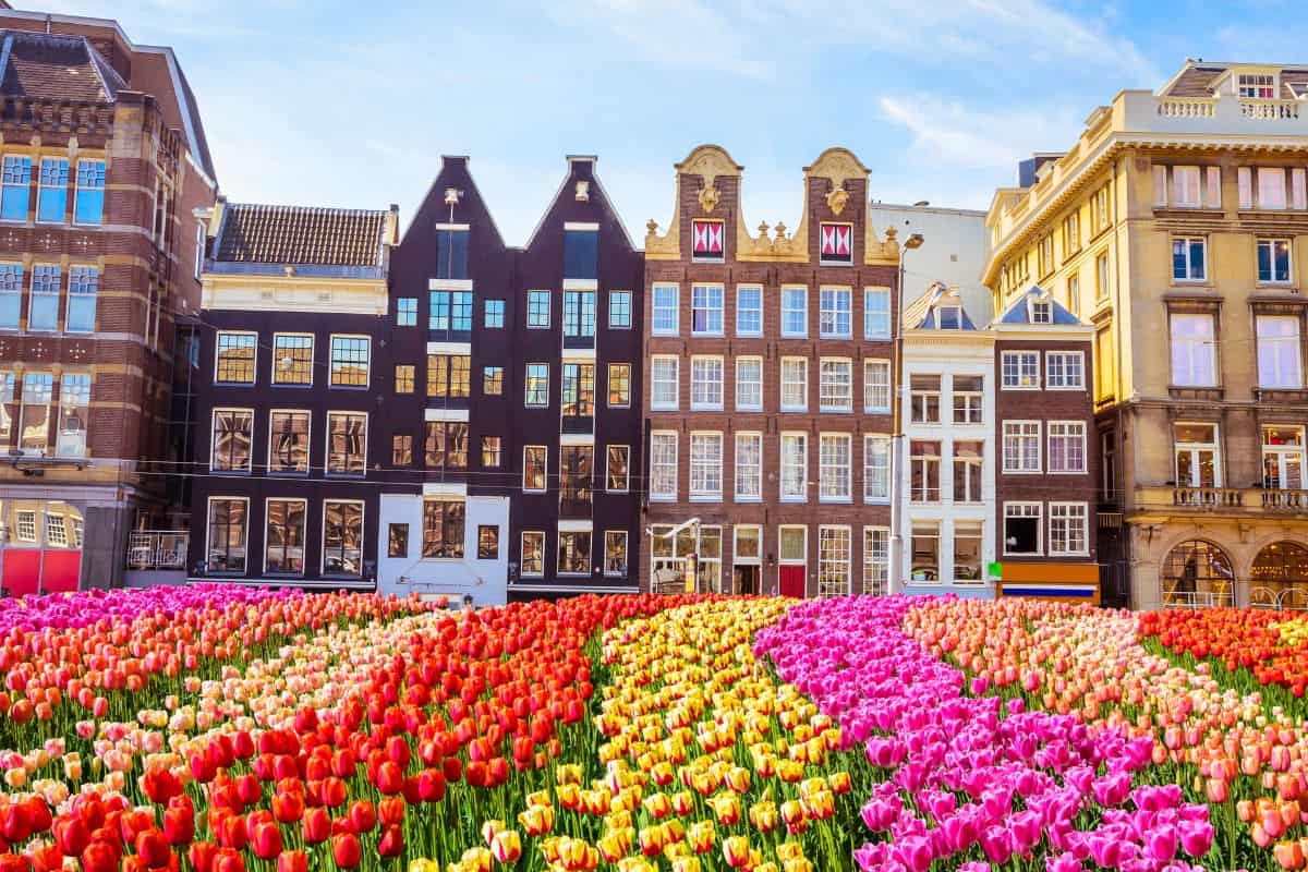 10 Places To Rock in Amsterdam