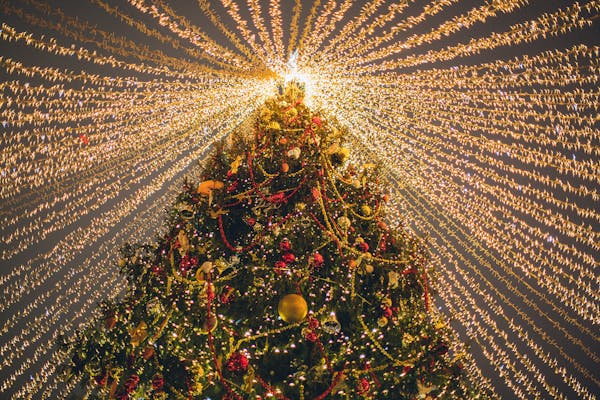 Christmas tree with fairy lights