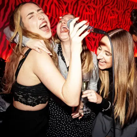Soirée karaoké à l'auberge Clink i Lar, Dublin