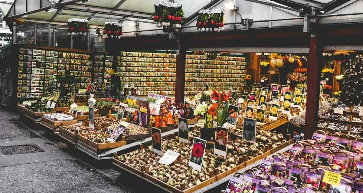 Market with flowers in Amsterdam