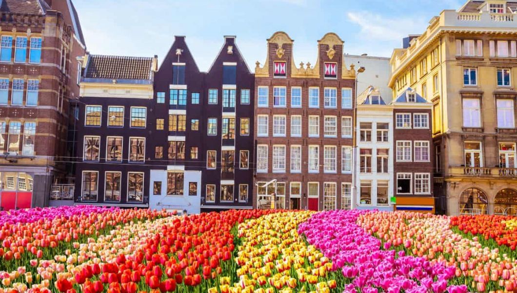 colourful flowers by traditional amsterdam buildings